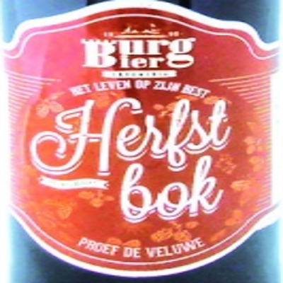 Burg Herfstbok